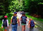 Camp été meute 2013