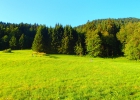 Camp d'été aux Diablerets - Meute